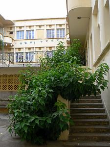 12 ECOLE JULES RENARD PAR P G   (5)